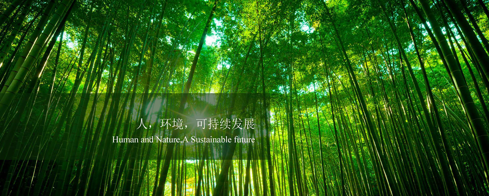 Changzhou Chemical Co., Ltd.